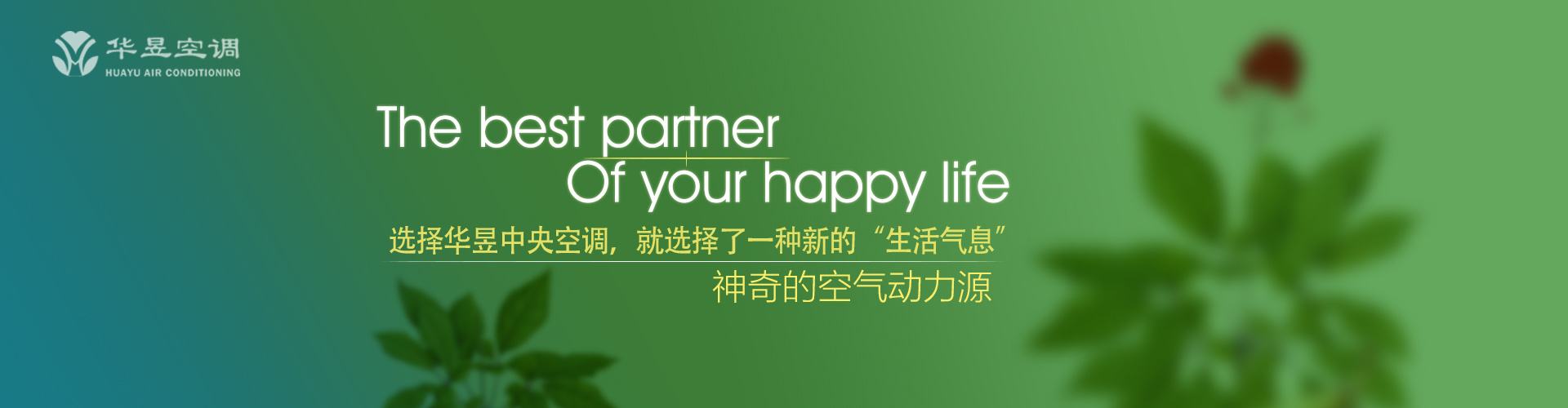 敲金击石网